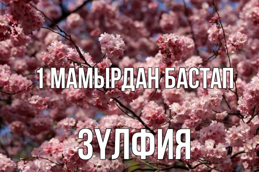 Күн сайын ашық хат с именем, ЗҮЛФИЯ 1 мамырдан бастап С 1 мая Онлайн тегін жүктеп алу тілектері бар керемет карта 
