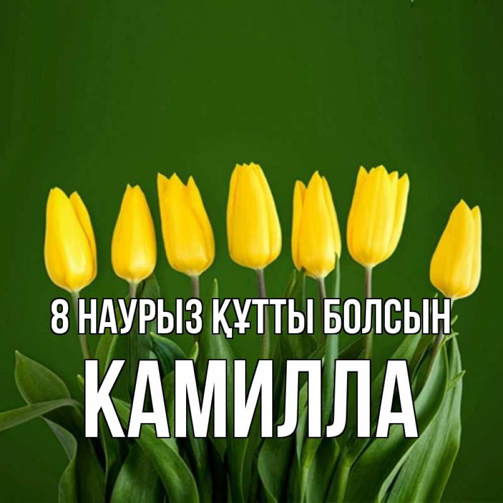 Күн сайын ашық хат с именем, Камилла 8 наурыз құтты болсын желтого цвета 3 Онлайн тегін жүктеп алу тілектері бар керемет карта 