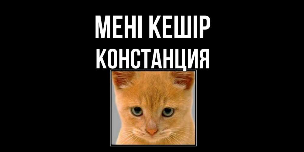 Күн сайын ашық хат с именем, Констанция Мені кешір рыжий грустный кот просит прощения Онлайн тегін жүктеп алу тілектері бар керемет карта 