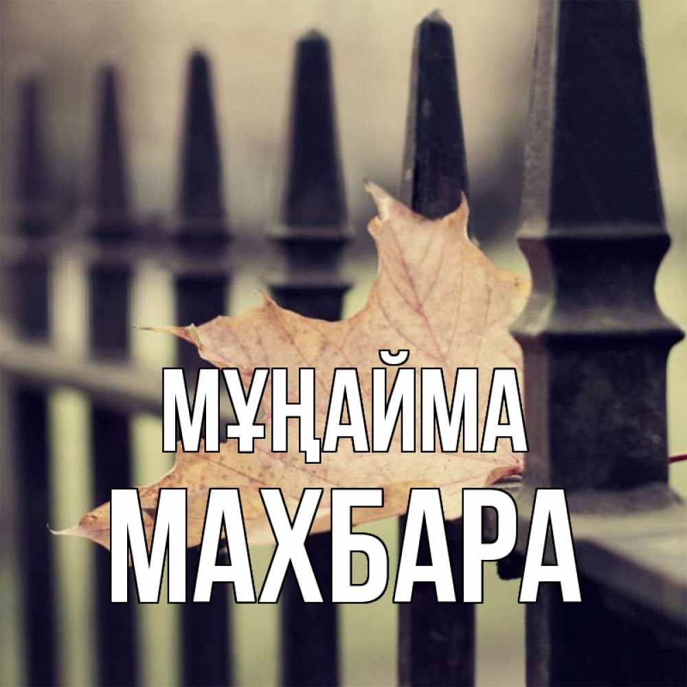 Күн сайын ашық хат с именем, МАХБАРА Мұңайма лист клена Онлайн тегін жүктеп алу тілектері бар керемет карта 