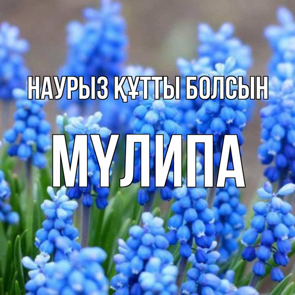 Күн сайын ашық хат с именем, МҮЛИПА Наурыз құтты болсын Поздравительная открытка для женщин с цветами на праздничную дату Онлайн тегін жүктеп алу тілектері бар керемет карта 