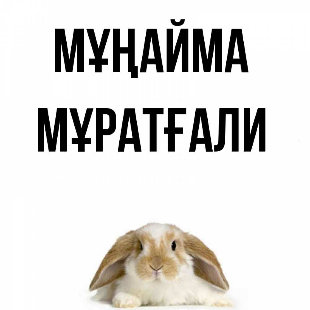Күн сайын ашық хат с именем, Мұратғали Мұңайма коричнево белый заяц с большими ушками Онлайн тегін жүктеп алу тілектері бар керемет карта 