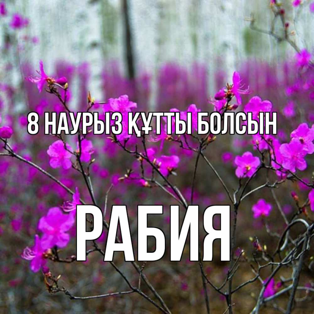 Күн сайын ашық хат с именем, РАБИЯ 8 наурыз құтты болсын дикие цветы Онлайн тегін жүктеп алу тілектері бар керемет карта 