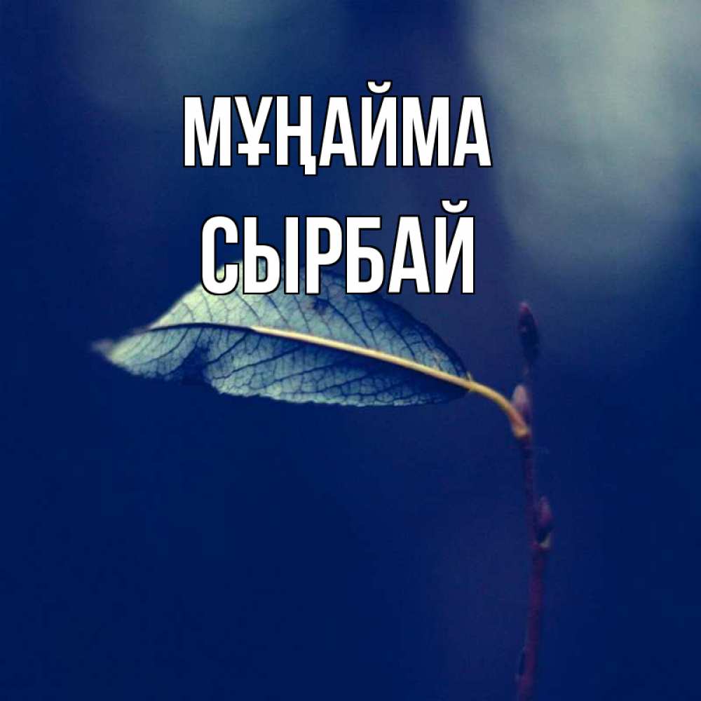 Күн сайын ашық хат с именем, СЫРБАЙ Мұңайма растение Онлайн тегін жүктеп алу тілектері бар керемет карта 