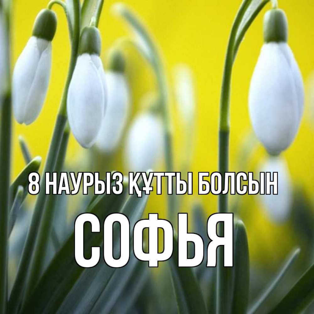 Күн сайын ашық хат с именем, Софья 8 наурыз құтты болсын весенние цветы Онлайн тегін жүктеп алу тілектері бар керемет карта 