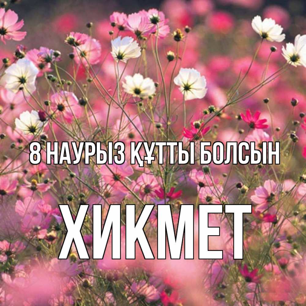 Күн сайын ашық хат с именем, ХИКМЕТ 8 наурыз құтты болсын красиво 1 Онлайн тегін жүктеп алу тілектері бар керемет карта 