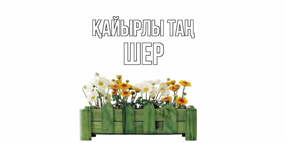 Күн сайын ашық хат с именем, ШЕР Қайырлы таң цветы Онлайн тегін жүктеп алу тілектері бар керемет карта 
