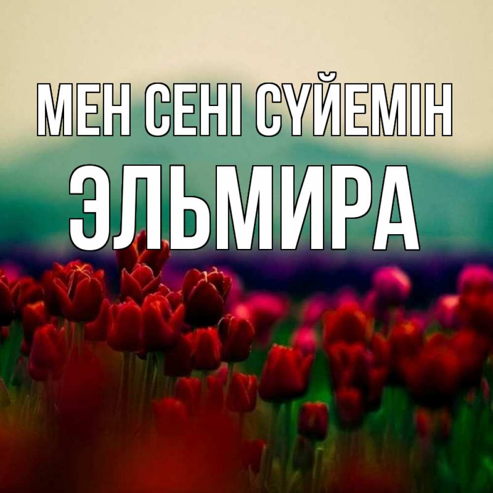 Күн сайын ашық хат с именем, Эльмира Мен сені сүйемін тюльпаны 4 Онлайн тегін жүктеп алу тілектері бар керемет карта 