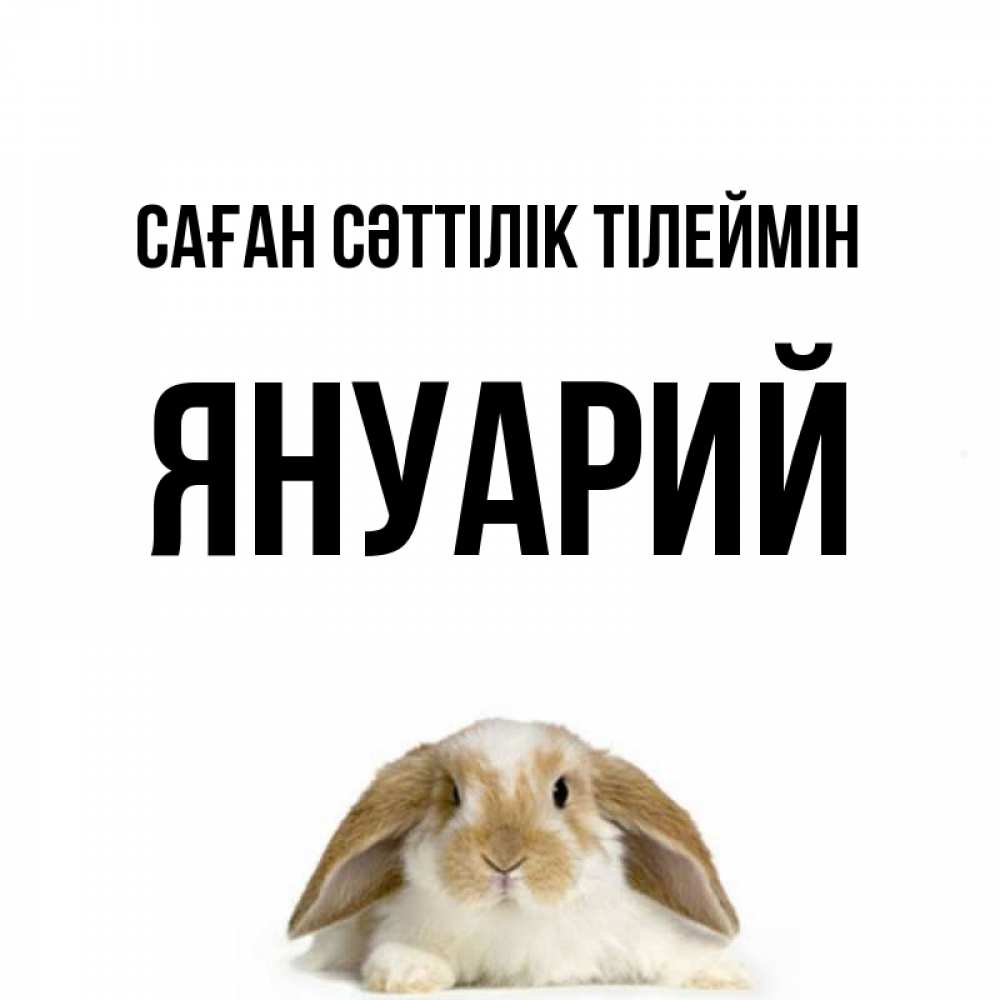 Күн сайын ашық хат с именем, Януарий Саған сәттілік тілеймін открытки с произвольным текстом который можно вставить в открытку и создать ее самостоятельно бесплатно онлайн Онлайн тегін жүктеп алу тілектері бар керемет карта 