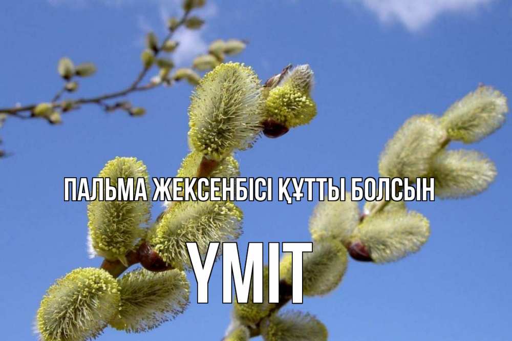 Күн сайын ашық хат с именем, ҮМІТ Пальма жексенбісі құтты болсын верба Онлайн тегін жүктеп алу тілектері бар керемет карта 