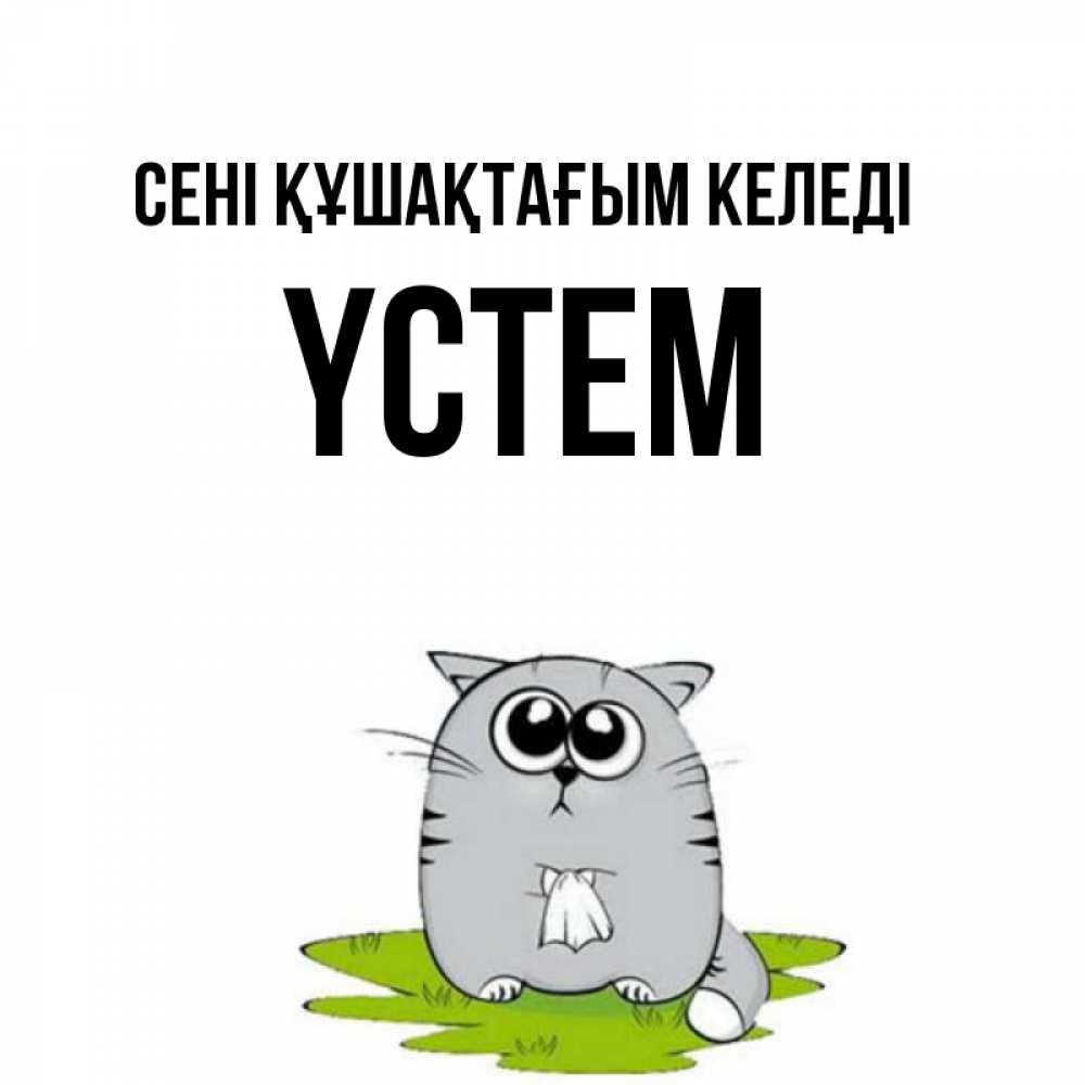 Күн сайын ашық хат с именем, ҮСТЕМ сені құшақтағым келеді котик теребит платочек сидя на травке Онлайн тегін жүктеп алу тілектері бар керемет карта 