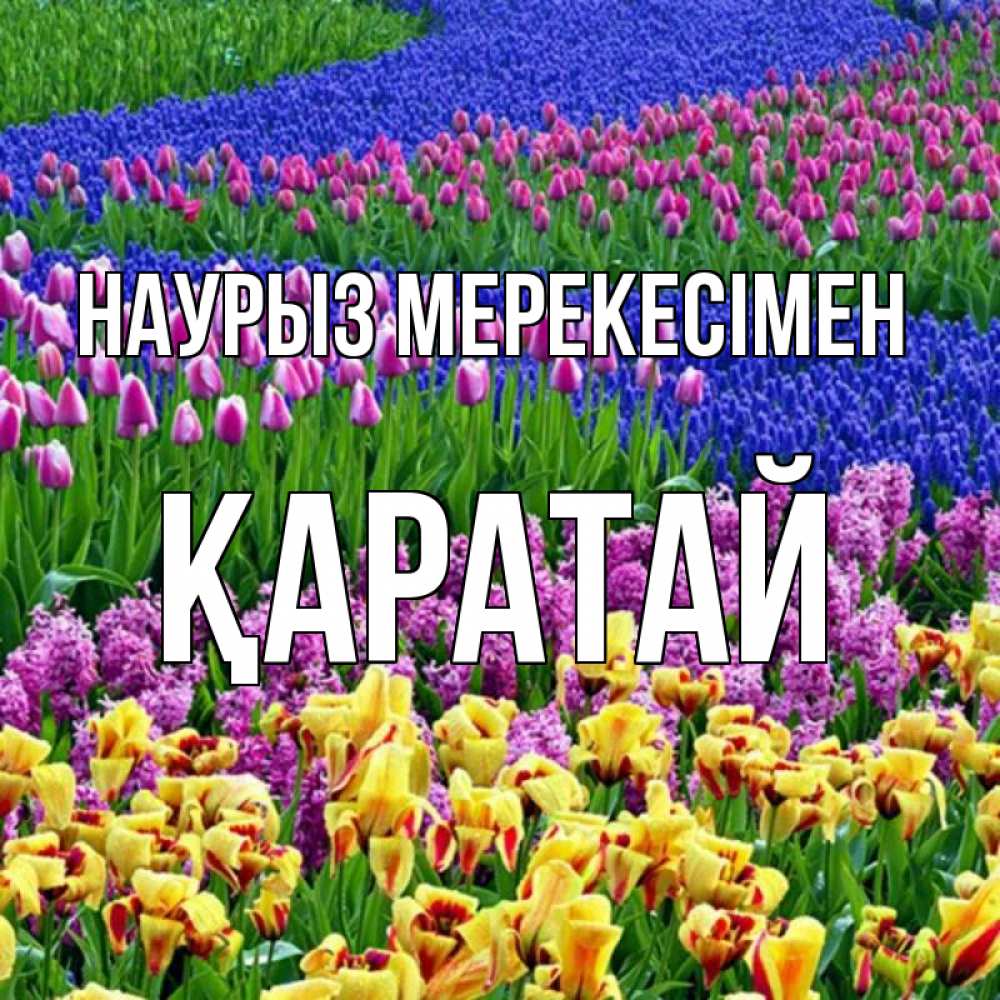 Күн сайын ашық хат с именем, Қаратай Наурыз мерекесімен цветы Онлайн тегін жүктеп алу тілектері бар керемет карта 
