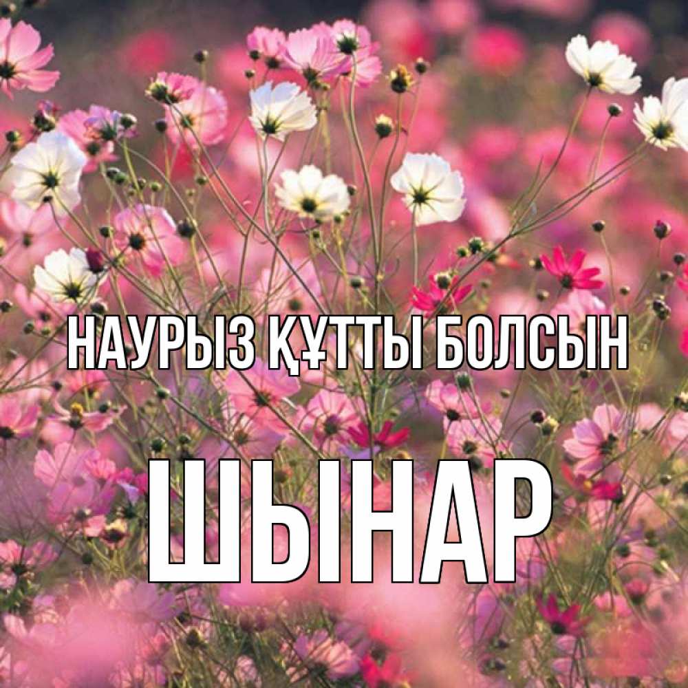 Күн сайын ашық хат с именем, ШЫНАР Наурыз құтты болсын красиво 1 Онлайн тегін жүктеп алу тілектері бар керемет карта 