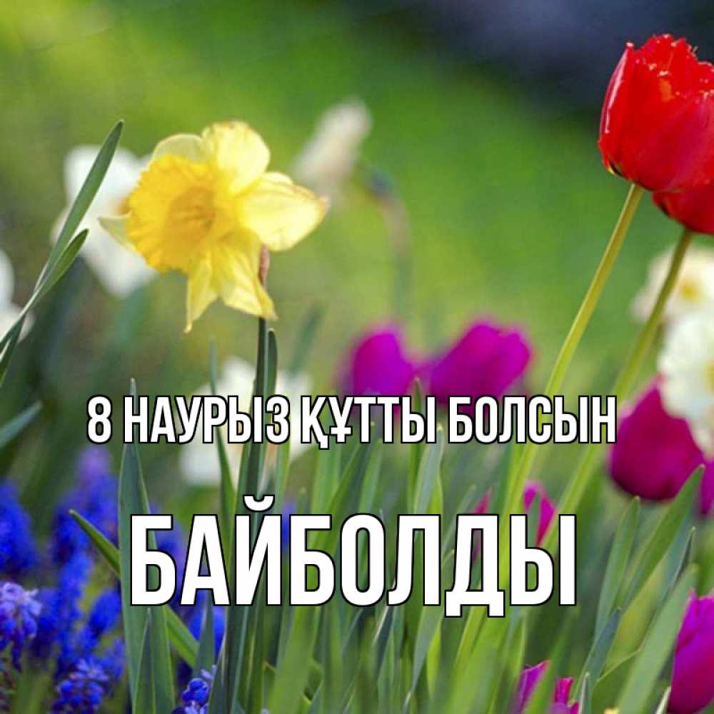 Күн сайын ашық хат с именем, Байболды 8 наурыз құтты болсын международный женский день 3 Онлайн тегін жүктеп алу тілектері бар керемет карта 