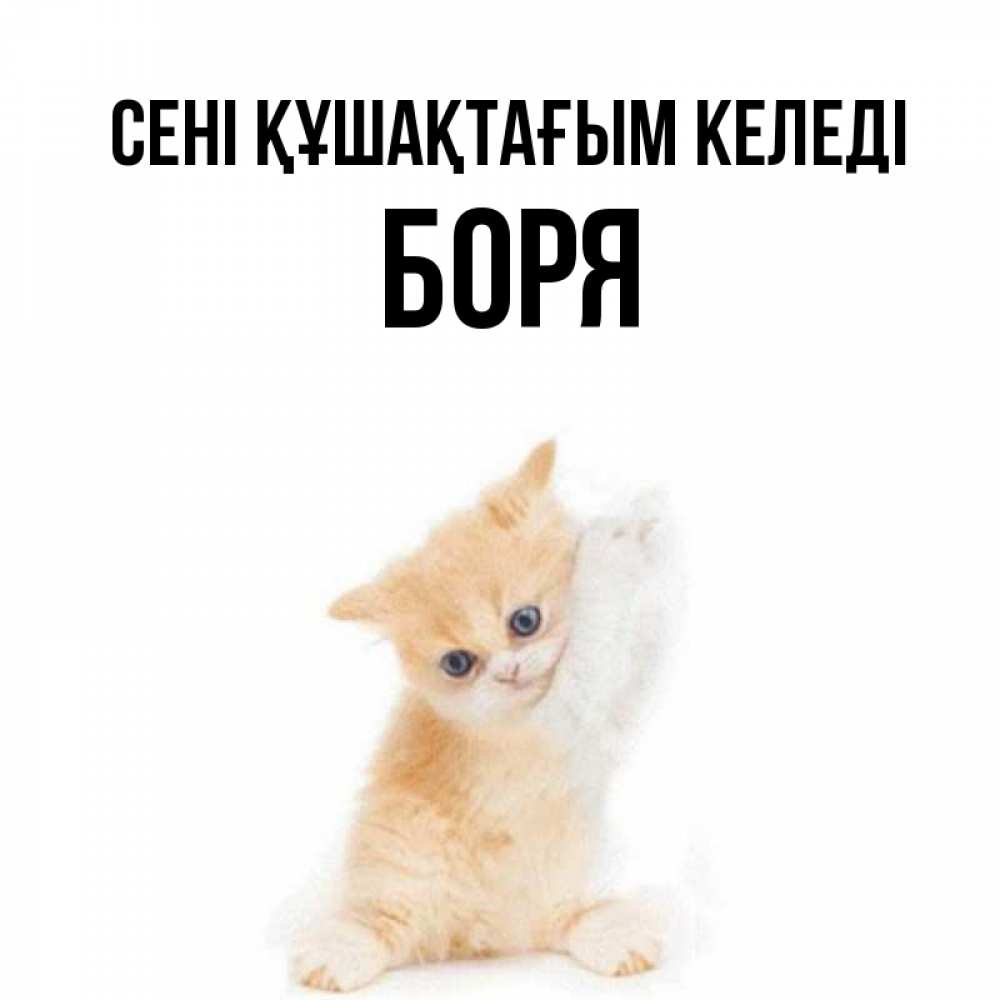 Күн сайын ашық хат с именем, Боря сені құшақтағым келеді я хочу очень скорее обнимаешек Онлайн тегін жүктеп алу тілектері бар керемет карта 