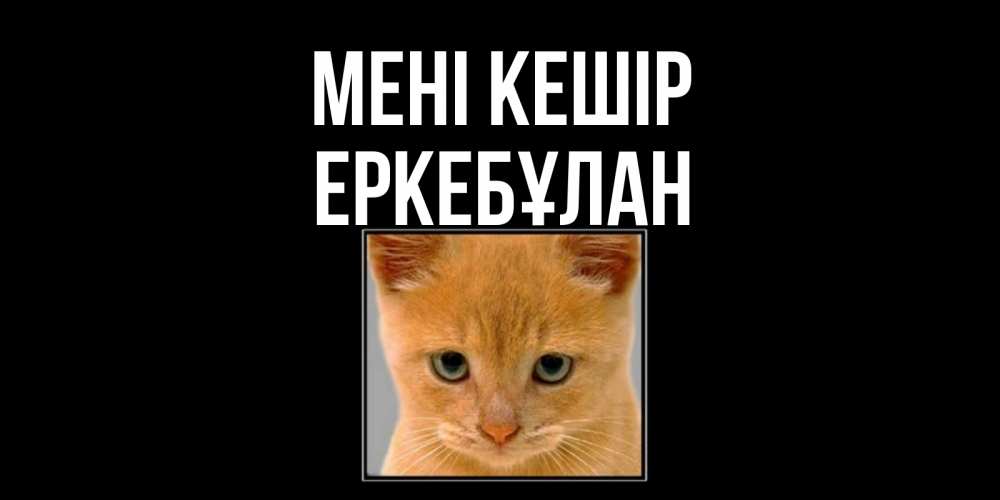 Күн сайын ашық хат с именем, Еркебұлан Мені кешір рыжий грустный кот просит прощения Онлайн тегін жүктеп алу тілектері бар керемет карта 
