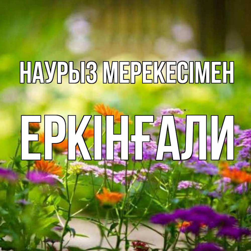 Күн сайын ашық хат с именем, Еркінғали Наурыз мерекесімен цветы Онлайн тегін жүктеп алу тілектері бар керемет карта 