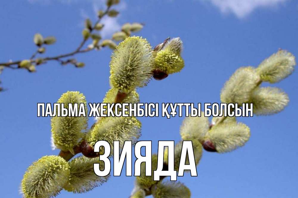 Күн сайын ашық хат с именем, ЗИЯДА Пальма жексенбісі құтты болсын верба Онлайн тегін жүктеп алу тілектері бар керемет карта 