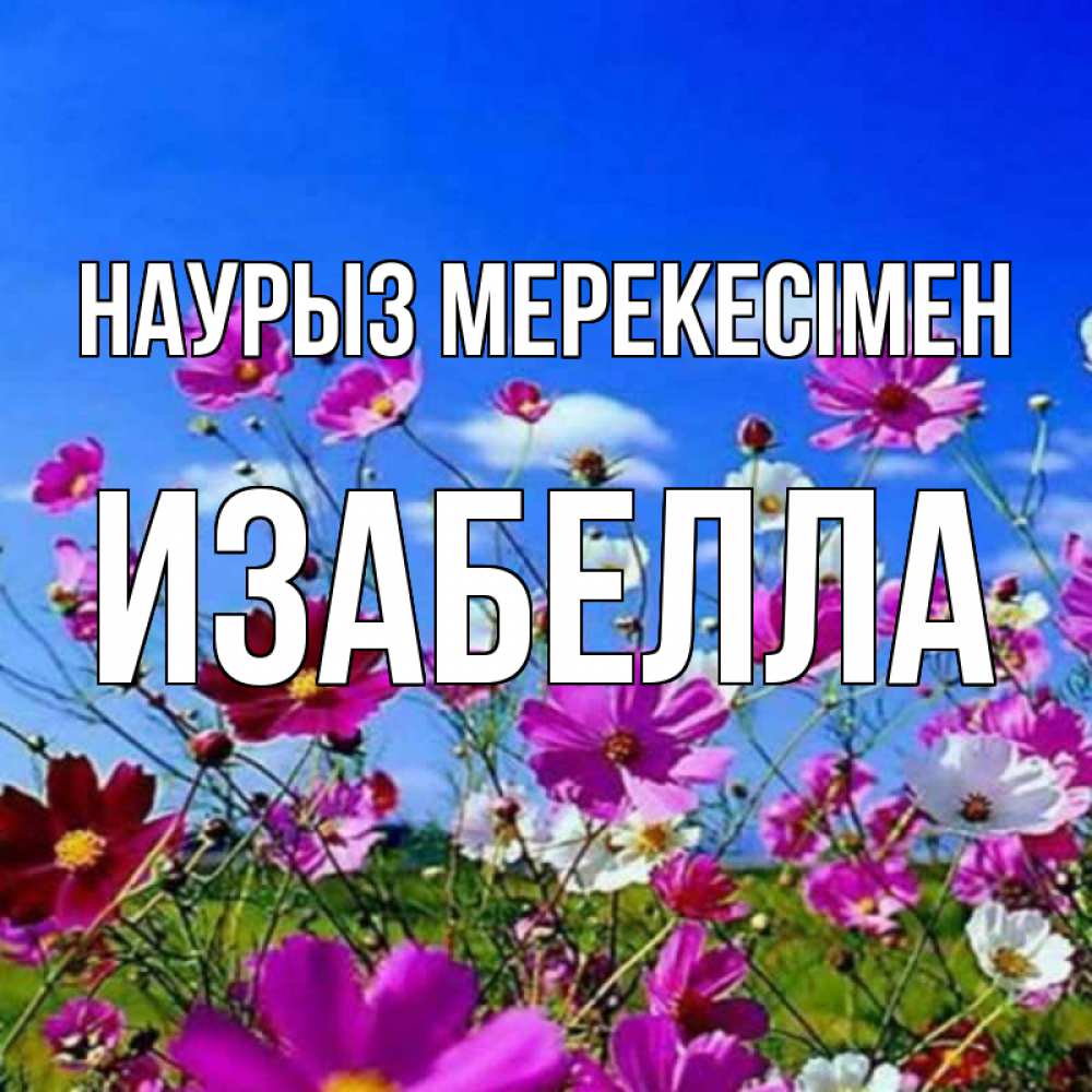 Күн сайын ашық хат с именем, Изабелла Наурыз мерекесімен цветы Онлайн тегін жүктеп алу тілектері бар керемет карта 