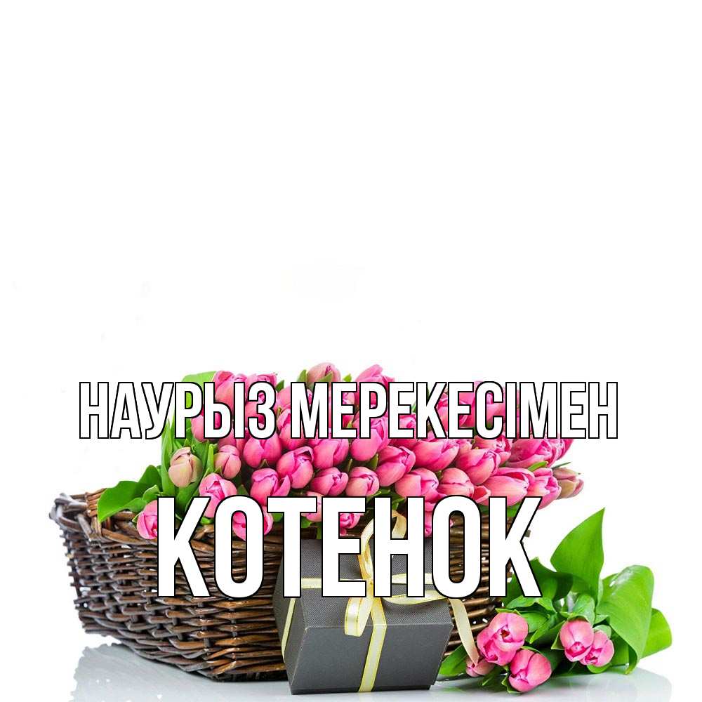 Күн сайын ашық хат с именем, Котенок Наурыз мерекесімен цветы Онлайн тегін жүктеп алу тілектері бар керемет карта 