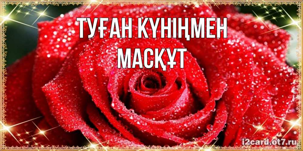 Күн сайын ашық хат с именем, МАСҚҰТ Туған күніңмен роса и роза. открытка с красивой розой Онлайн тегін жүктеп алу тілектері бар керемет карта 