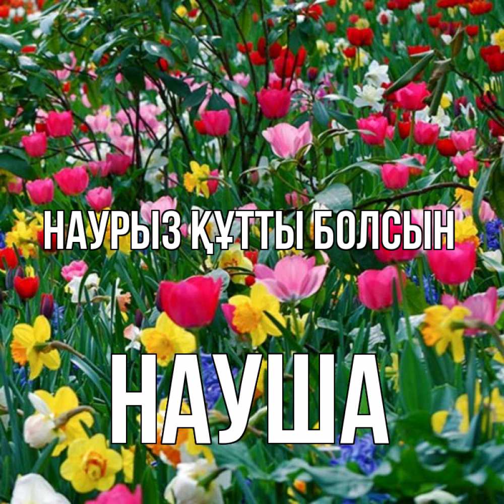 Күн сайын ашық хат с именем, НАУША Наурыз құтты болсын с наурызом поздравления для женщины Онлайн тегін жүктеп алу тілектері бар керемет карта 