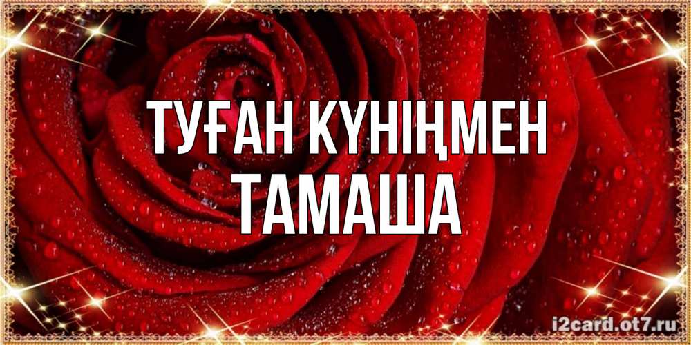 Күн сайын ашық хат с именем, ТАМАША Туған күніңмен роса на розе блестящая в лучах солнца Онлайн тегін жүктеп алу тілектері бар керемет карта 