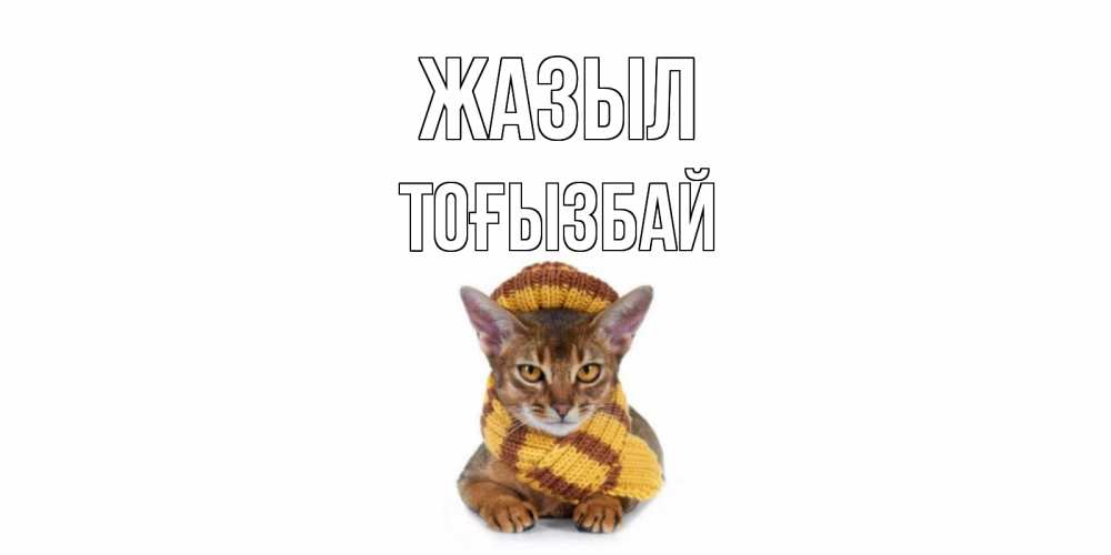 Күн сайын ашық хат с именем, ТОҒЫЗБАЙ Жазыл родные не болейте Онлайн тегін жүктеп алу тілектері бар керемет карта 