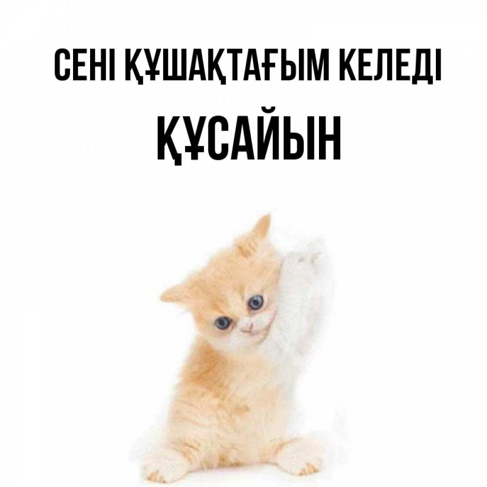 Күн сайын ашық хат с именем, ҚҰСАЙЫН сені құшақтағым келеді я хочу очень скорее обнимаешек Онлайн тегін жүктеп алу тілектері бар керемет карта 