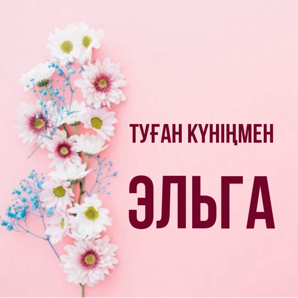 Күн сайын ашық хат с именем, Эльга Туған күніңмен Родная моя с днем рождения тебя картинка с цветами белыми и голубыми Онлайн тегін жүктеп алу тілектері бар керемет карта 