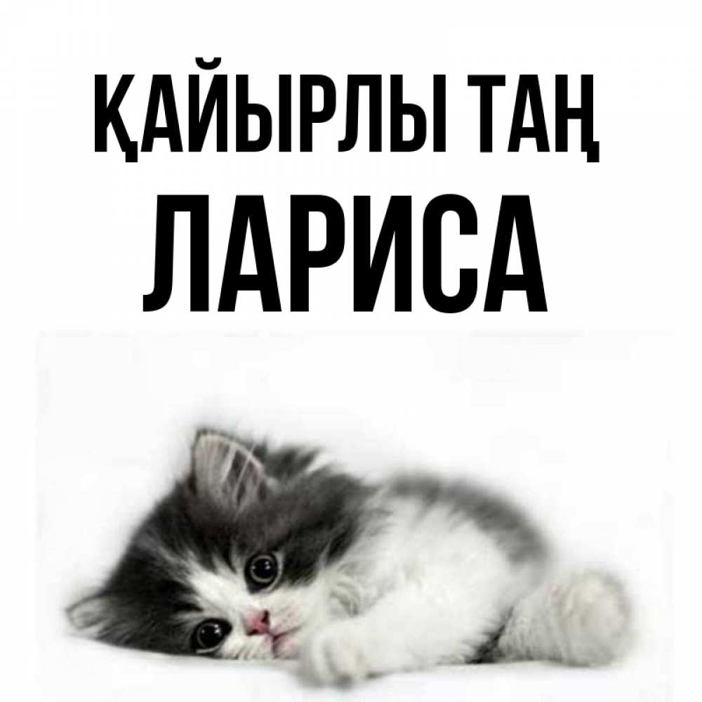 Күн сайын ашық хат с именем, Лариса Қайырлы таң кот лапки Онлайн тегін жүктеп алу тілектері бар керемет карта 