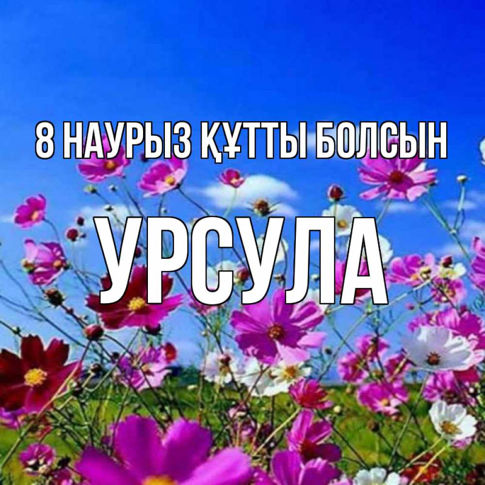 Күн сайын ашық хат с именем, Урсула 8 наурыз құтты болсын цветы Онлайн тегін жүктеп алу тілектері бар керемет карта 