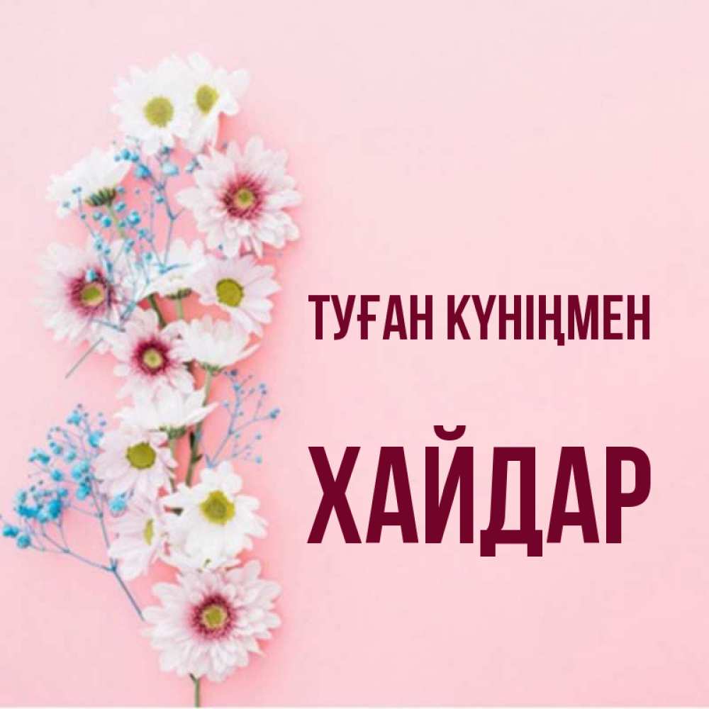 Күн сайын ашық хат с именем, ХАЙДАР Туған күніңмен Родная моя с днем рождения тебя картинка с цветами белыми и голубыми Онлайн тегін жүктеп алу тілектері бар керемет карта 