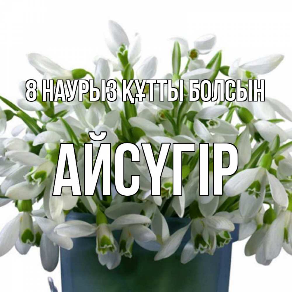 Күн сайын ашық хат с именем, Айсүгір 8 наурыз құтты болсын цветы к международному женскому дню Онлайн тегін жүктеп алу тілектері бар керемет карта 