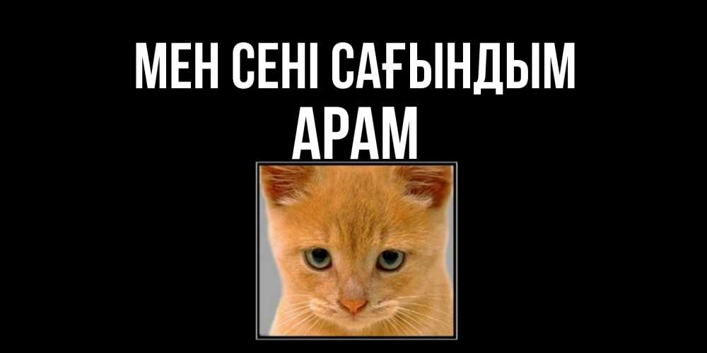 Күн сайын ашық хат с именем, Арам Мен сені сағындым открытки рыжий котенок скучает по тебе Онлайн тегін жүктеп алу тілектері бар керемет карта 