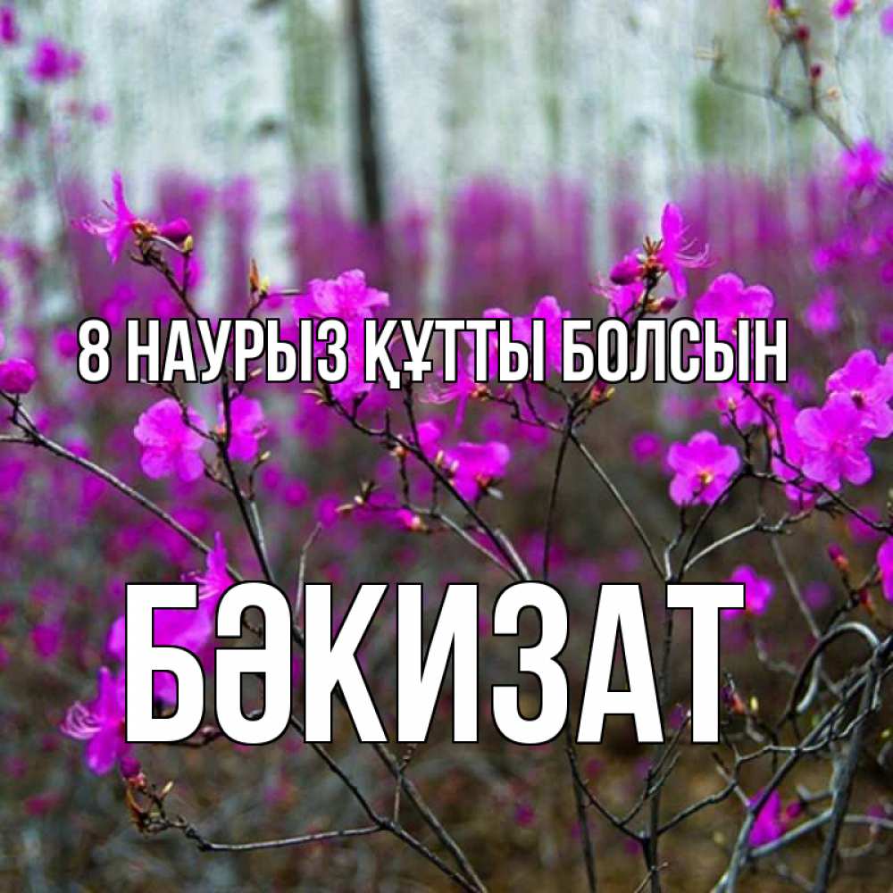Күн сайын ашық хат с именем, БӘКИЗАТ 8 наурыз құтты болсын дикие цветы Онлайн тегін жүктеп алу тілектері бар керемет карта 
