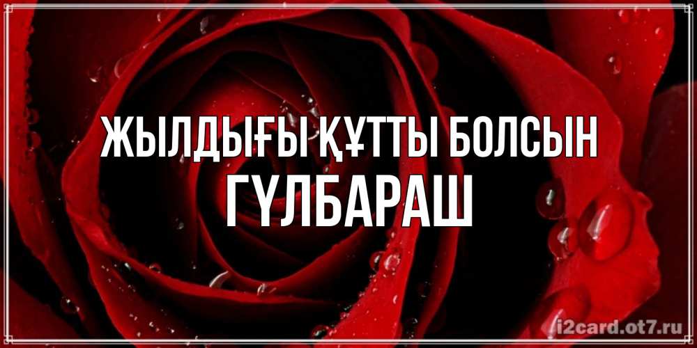 Күн сайын ашық хат с именем, ГҮЛБАРАШ Жылдығы құтты болсын крупная бордовая роза Онлайн тегін жүктеп алу тілектері бар керемет карта 