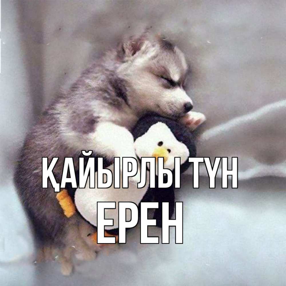 Күн сайын ашық хат с именем, Ерен Қайырлы түн обнимашки щенка и пингвина Онлайн тегін жүктеп алу тілектері бар керемет карта 