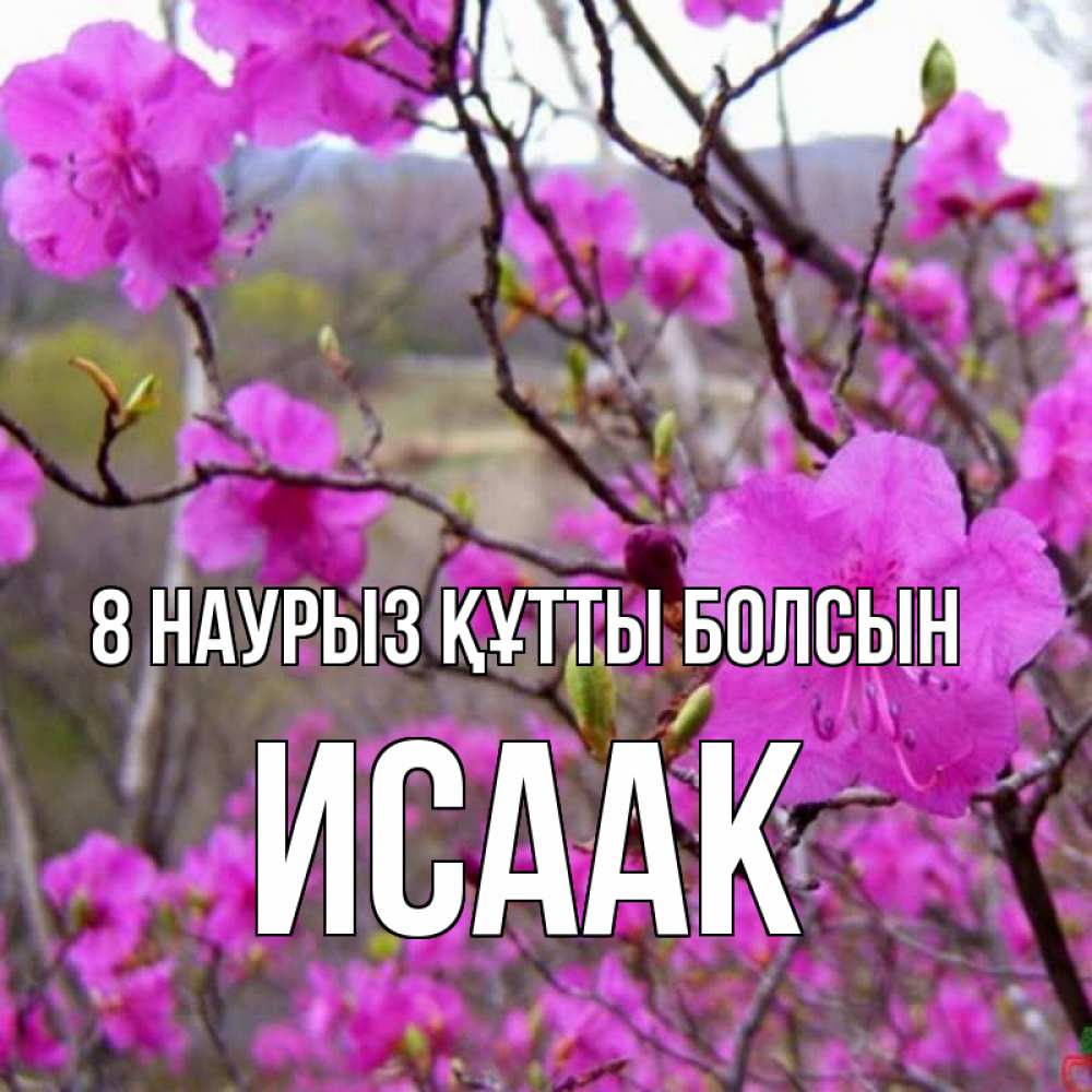 Күн сайын ашық хат с именем, Исаак 8 наурыз құтты болсын международный женский день Онлайн тегін жүктеп алу тілектері бар керемет карта 