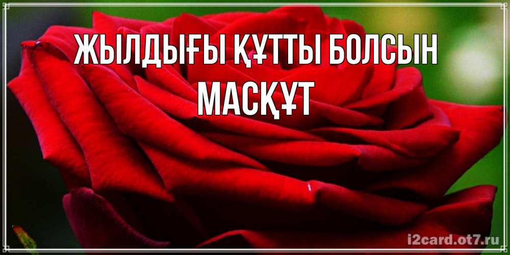 Күн сайын ашық хат с именем, МАСҚҰТ Жылдығы құтты болсын розочка очень красивая Онлайн тегін жүктеп алу тілектері бар керемет карта 