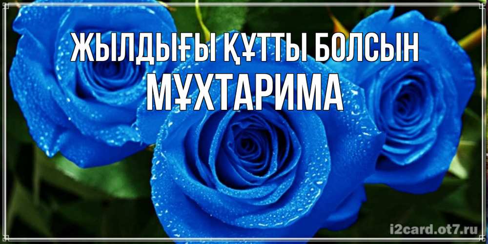 Күн сайын ашық хат с именем, МҰХТАРИМА Жылдығы құтты болсын розы с синим цветом Онлайн тегін жүктеп алу тілектері бар керемет карта 