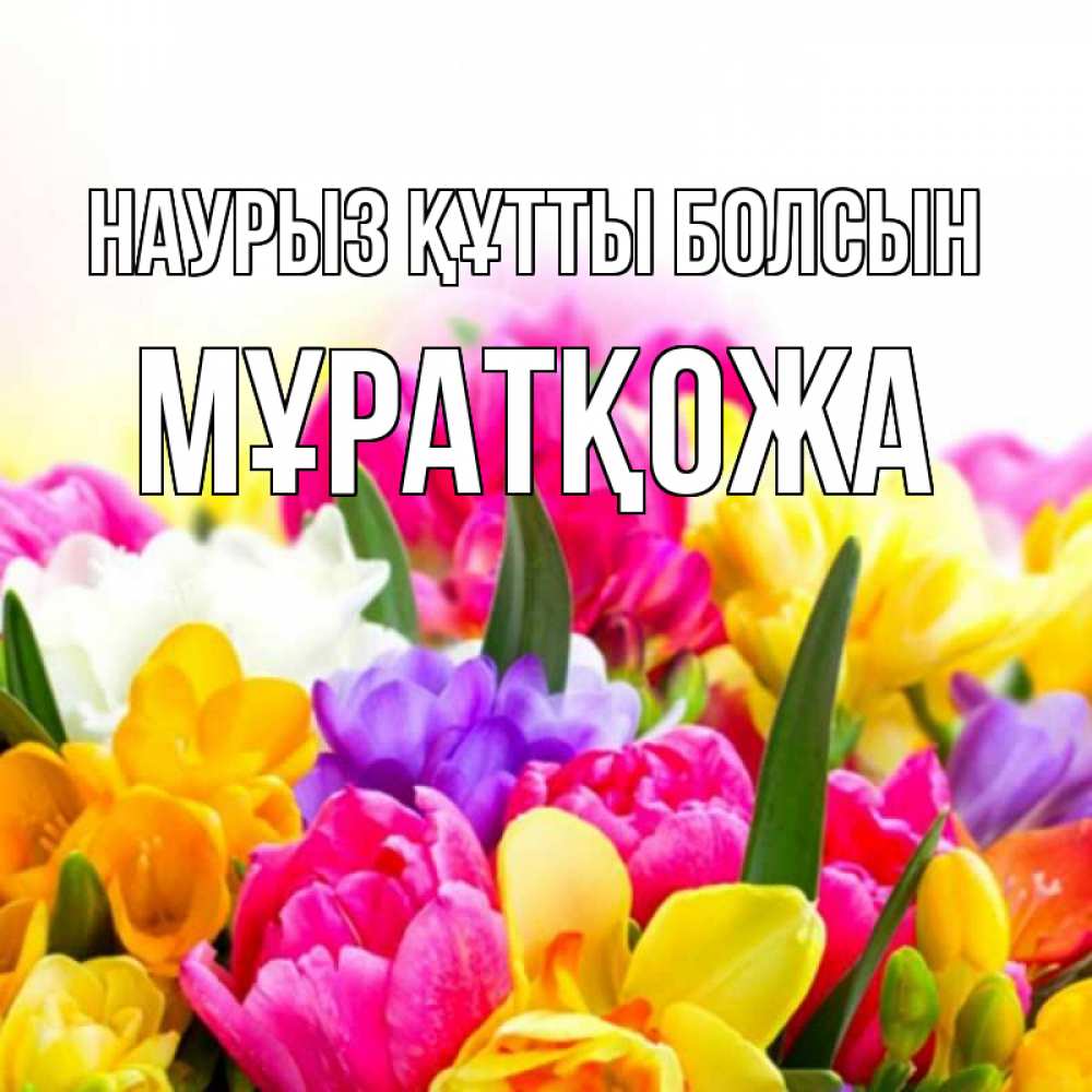 Күн сайын ашық хат с именем, Мұратқожа Наурыз құтты болсын тюльпаны Онлайн тегін жүктеп алу тілектері бар керемет карта 