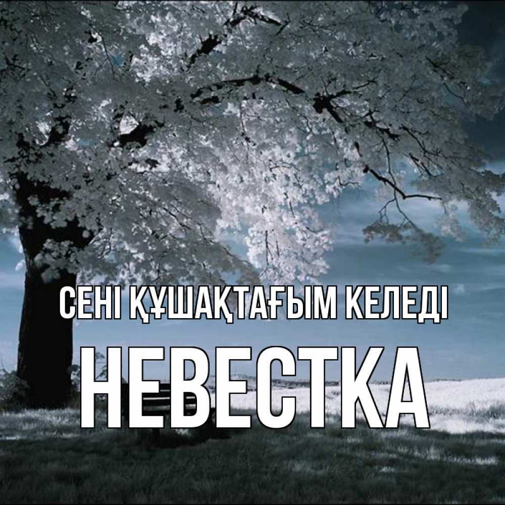 Күн сайын ашық хат с именем, Невестка сені құшақтағым келеді дерево Онлайн тегін жүктеп алу тілектері бар керемет карта 