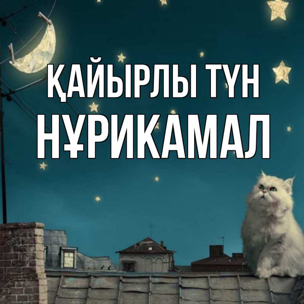 Күн сайын ашық хат с именем, НҰРИКАМАЛ Қайырлы түн белый кот сидит на крыше Онлайн тегін жүктеп алу тілектері бар керемет карта 