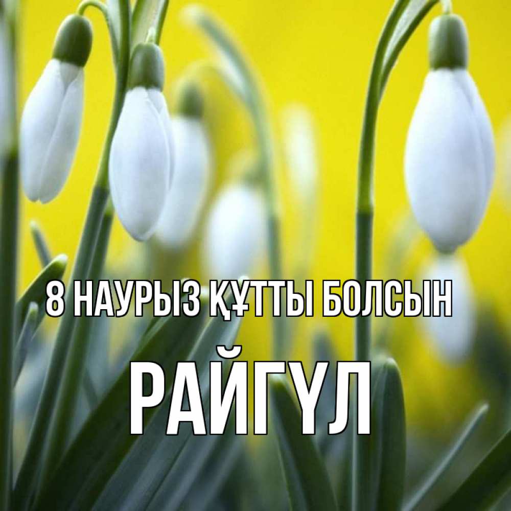 Күн сайын ашық хат с именем, РАЙГҮЛ 8 наурыз құтты болсын весенние цветы Онлайн тегін жүктеп алу тілектері бар керемет карта 