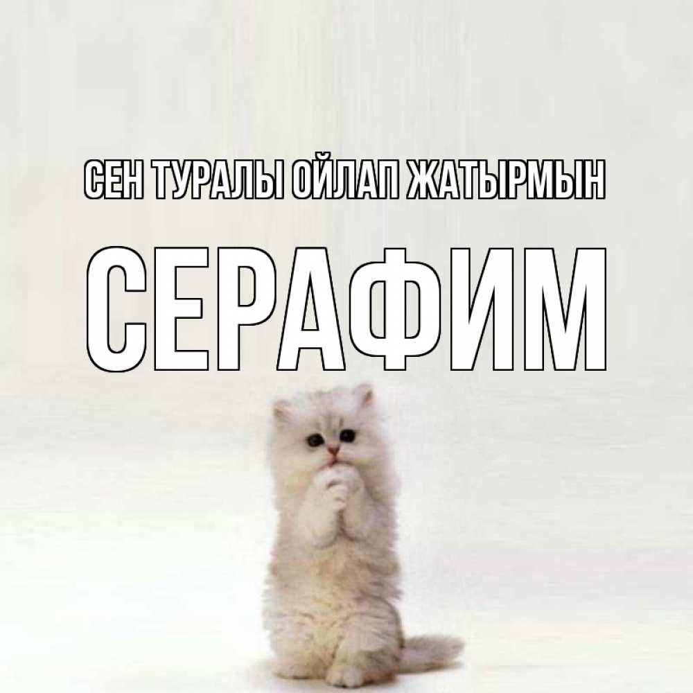 Күн сайын ашық хат с именем, Серафим Сен туралы ойлап жатырмын кот стоит на задних лапах Онлайн тегін жүктеп алу тілектері бар керемет карта 