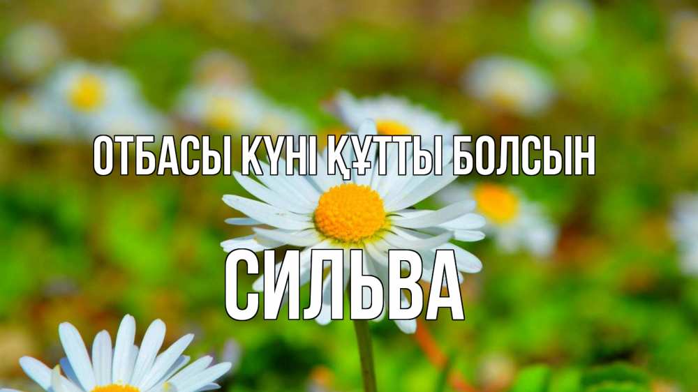 Күн сайын ашық хат с именем, Сильва отбасы күні құтты болсын с днем семьи Онлайн тегін жүктеп алу тілектері бар керемет карта 