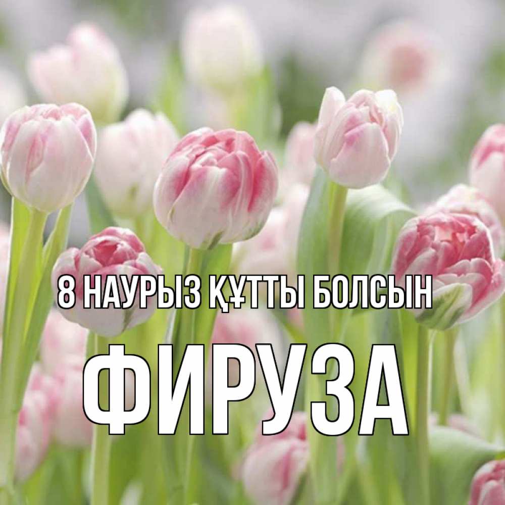 Күн сайын ашық хат с именем, ФИРУЗА 8 наурыз құтты болсын цветы Онлайн тегін жүктеп алу тілектері бар керемет карта 