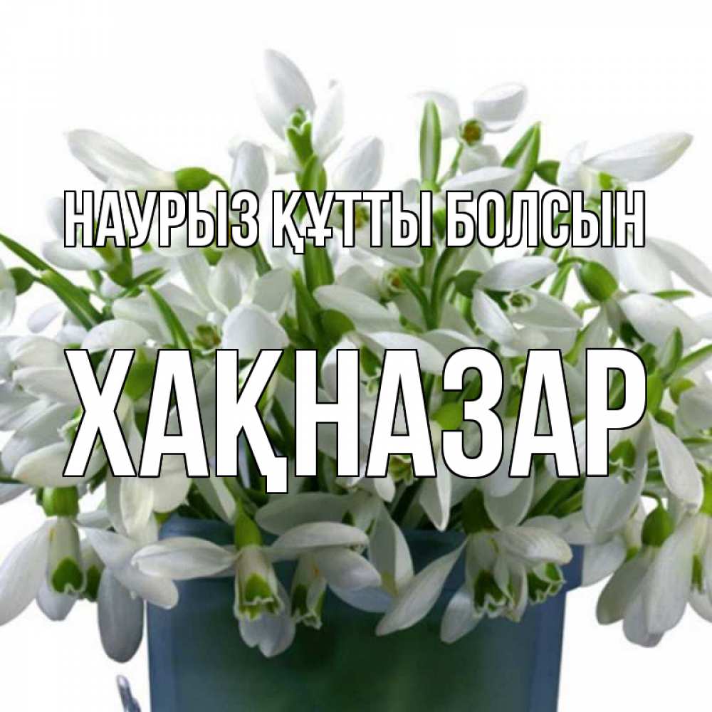 Күн сайын ашық хат с именем, ХАҚНАЗАР Наурыз құтты болсын цветы к наурызу Онлайн тегін жүктеп алу тілектері бар керемет карта 