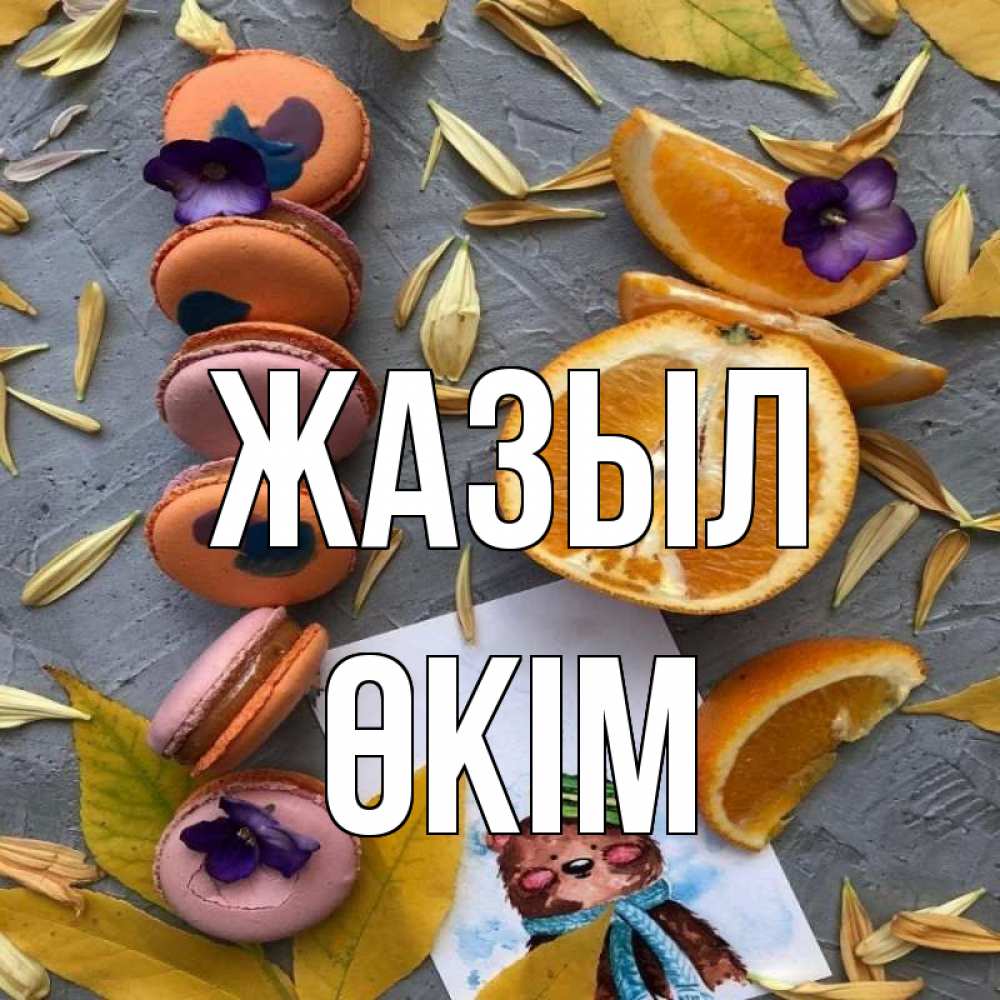 Күн сайын ашық хат с именем, ӨКІМ Жазыл не болейте Онлайн тегін жүктеп алу тілектері бар керемет карта 